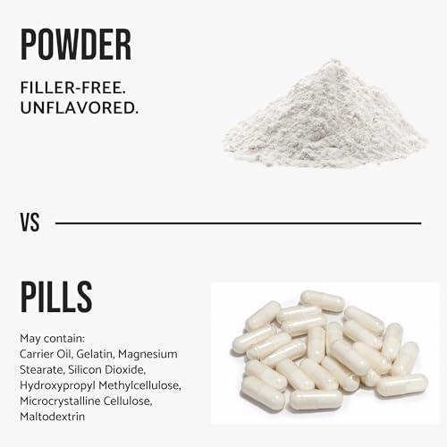 WHYZ Acetyl L-Carnitine ALCAR Powder - ingredient details