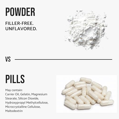WHYZ BCAA Powder 2:1:1 Branched Chain Amino Acids 630g - ingredient details