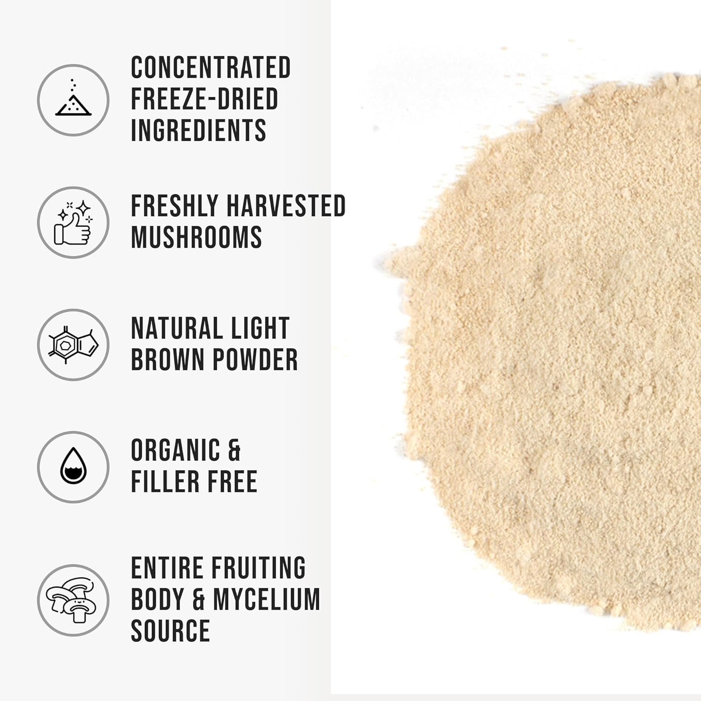 WHYZ Organic Lion’s Mane Mushroom Powder, 9 oz