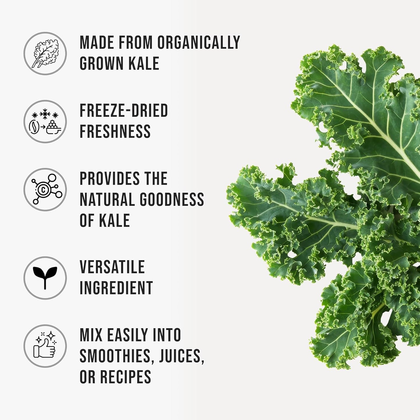 WHYZ Organic Kale Powder Freeze-Dried Greens Superfood, 525g