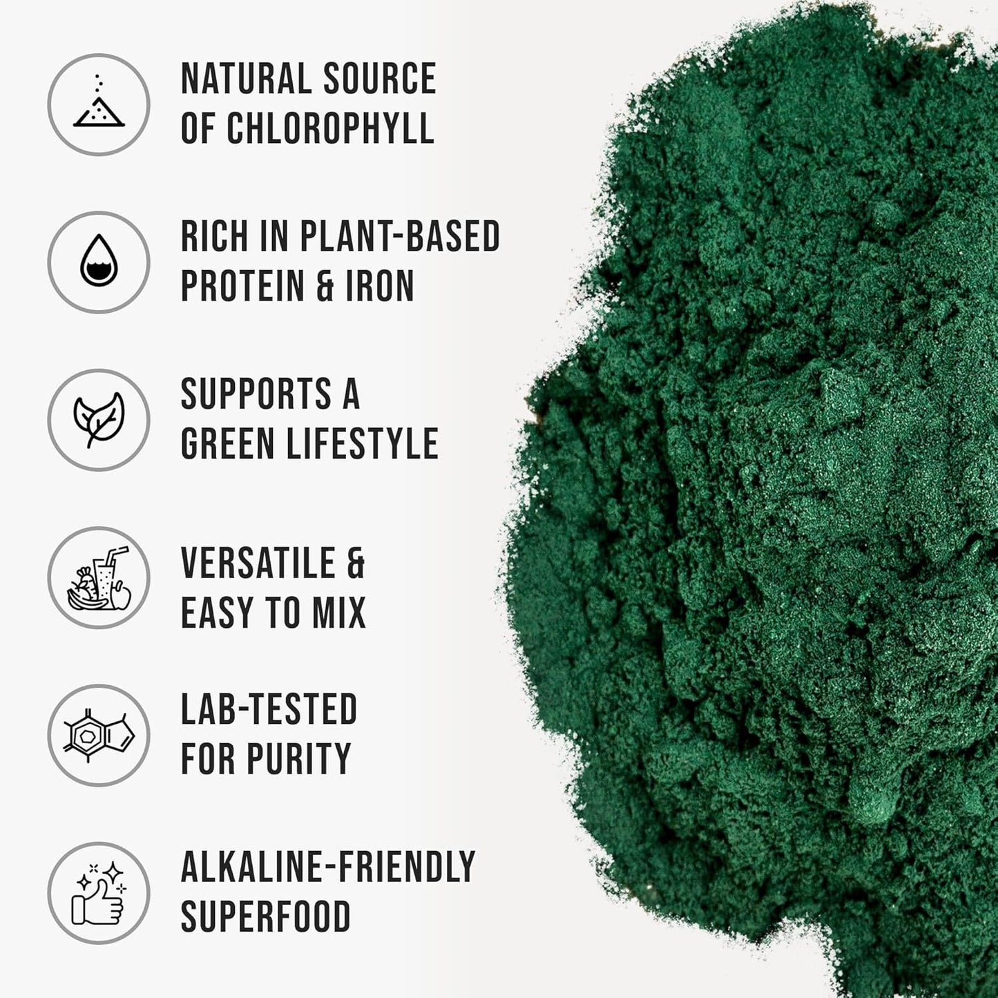 WHYZ Organic Chlorella Powder, 1 oz, 14 Servings