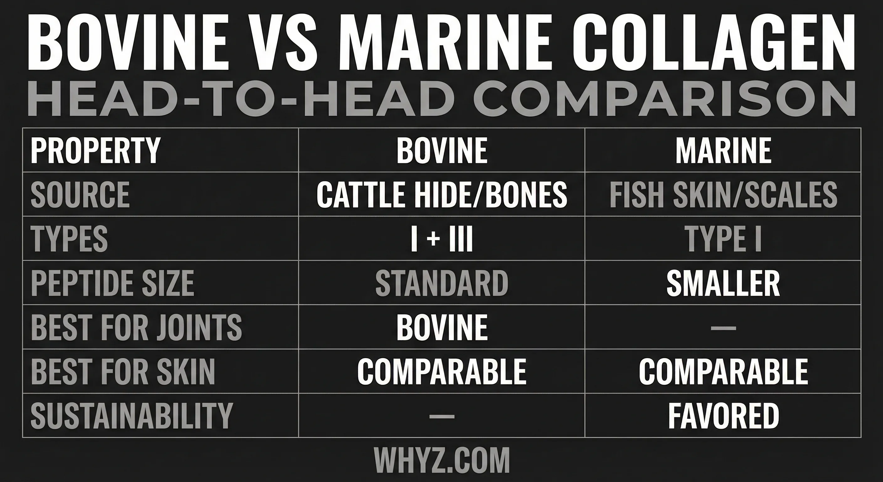 Bovine vs Marine Collagen comparison infographic