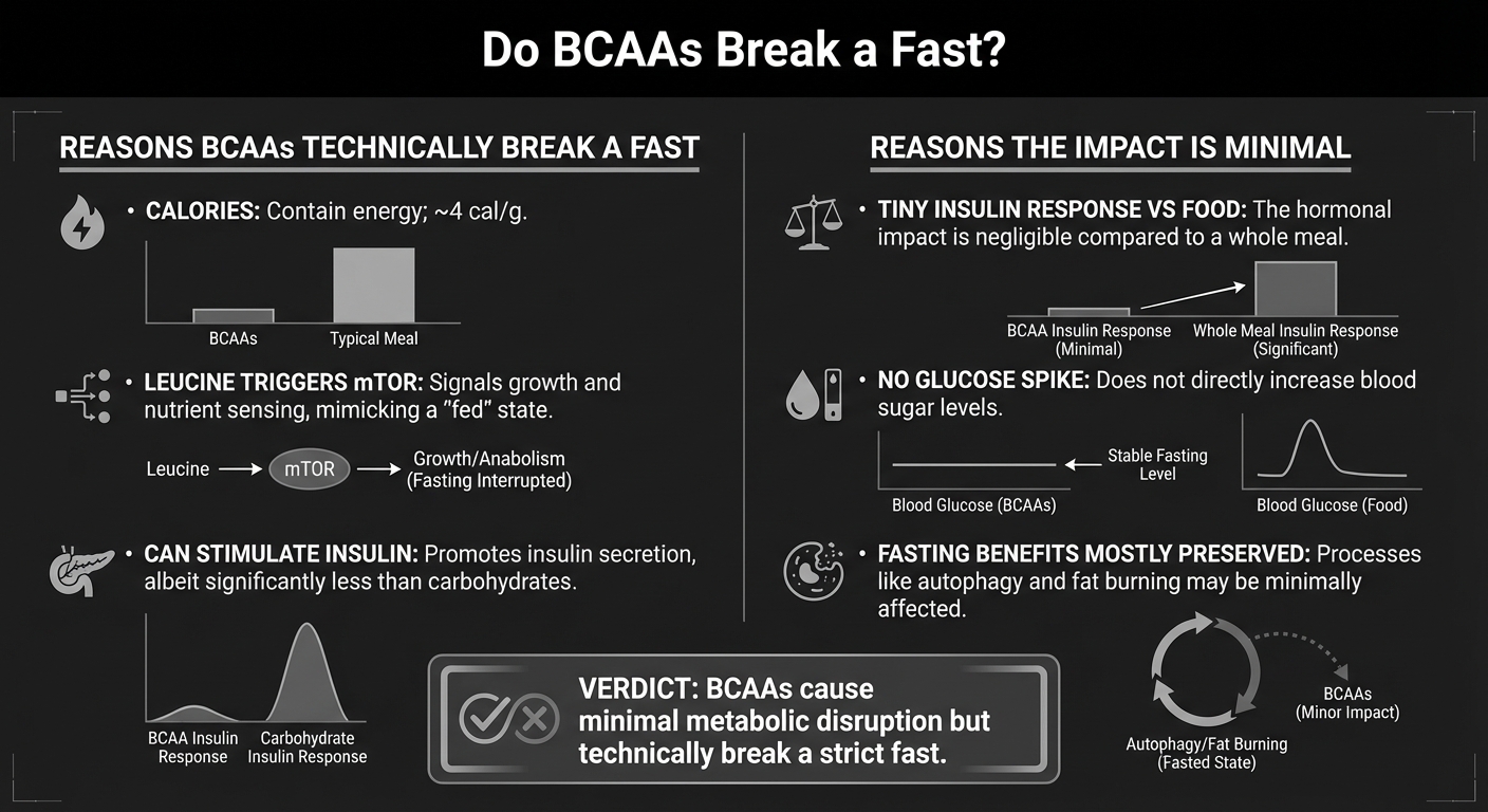 Do BCAAs break a fast infographic showing reasons for and against, with verdict that BCAAs cause minimal metabolic disruption but technically break a strict fast
