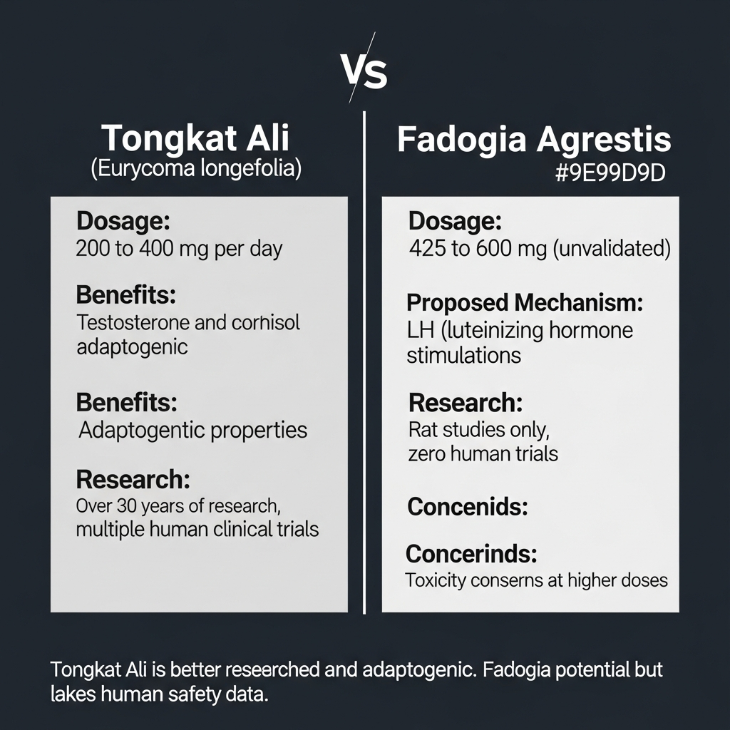 Tongkat Ali vs Fadogia Agrestis comparison infographic showing evidence levels, mechanisms, and safety profiles
