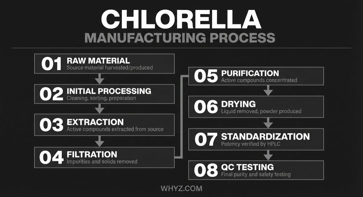 Chlorella manufacturing process — step-by-step production flowchart