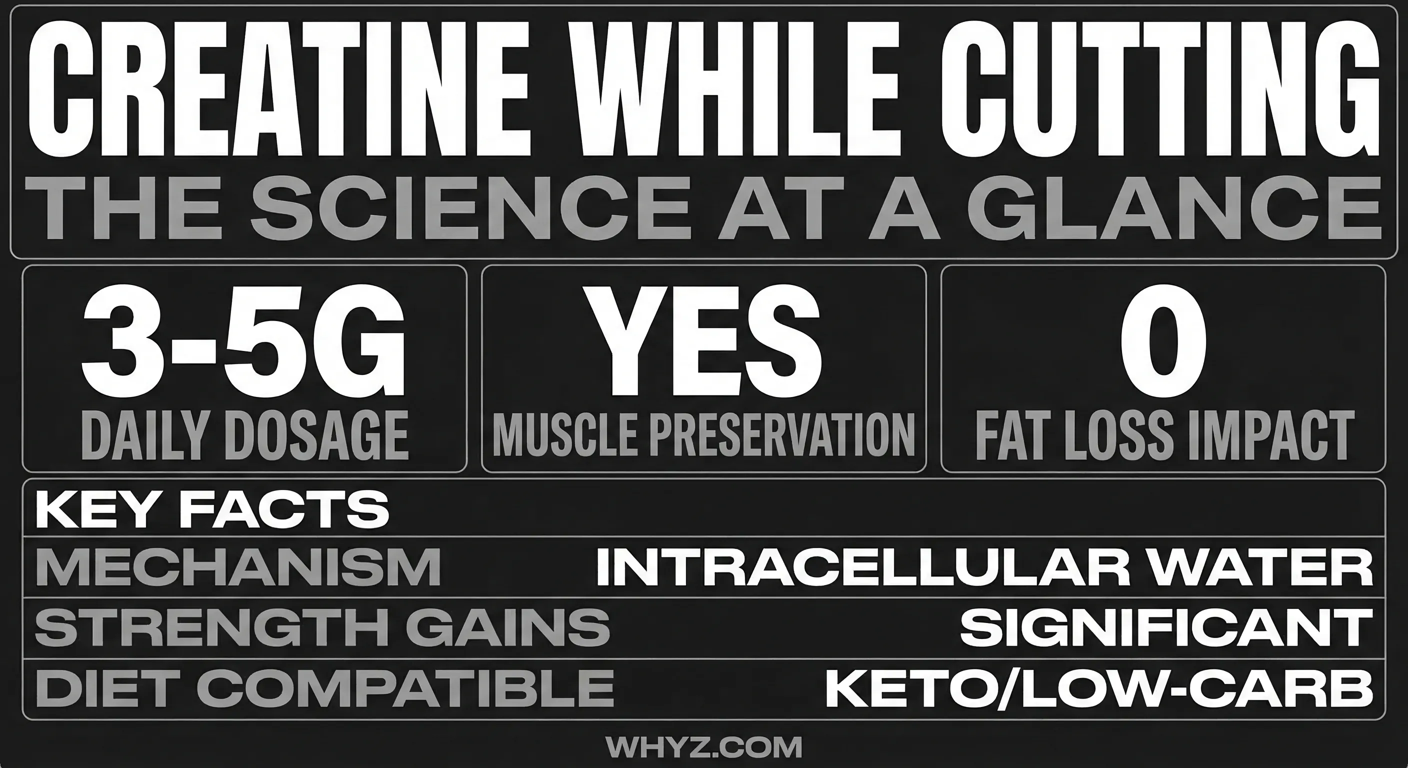 Creatine while cutting: infographic showing muscle preservation mechanism, water retention types, and dosing protocol during caloric deficit