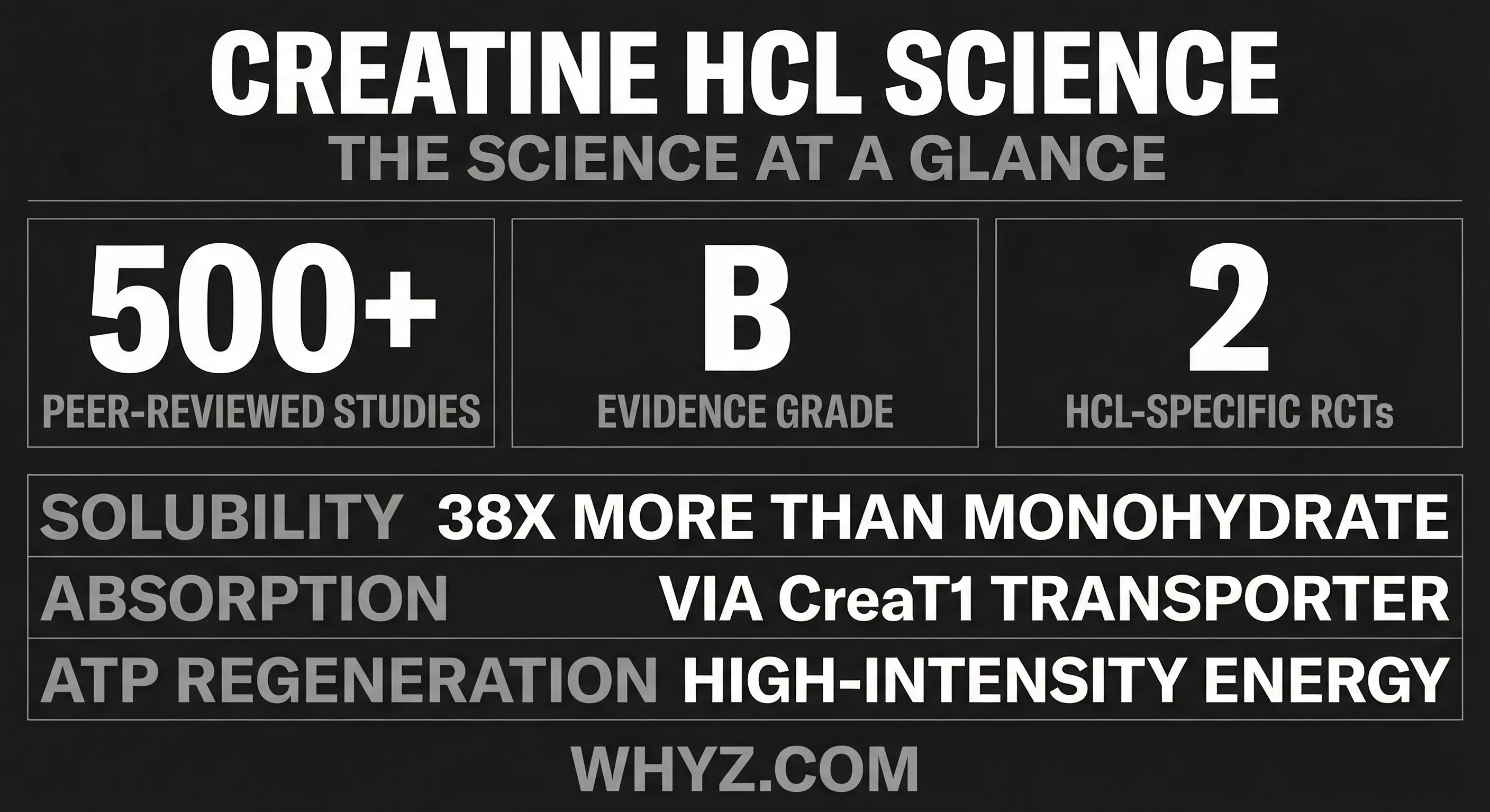 Creatine HCL science infographic showing 500+ peer-reviewed studies, evidence grade B, 2 HCL-specific RCTs, 38x solubility advantage, CreaT1 transporter absorption, ATP regeneration mechanism