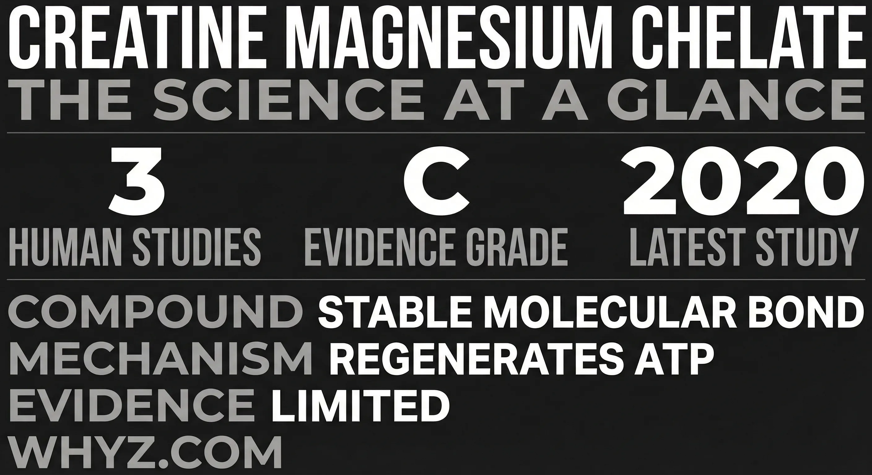 Creatine magnesium chelate science: mechanism of action, clinical studies, evidence grade