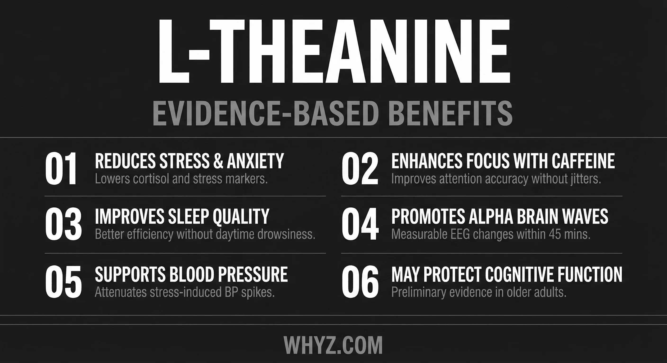 L-Theanine benefits — stress reduction, cognitive enhancement with caffeine, sleep quality, alpha brain waves
