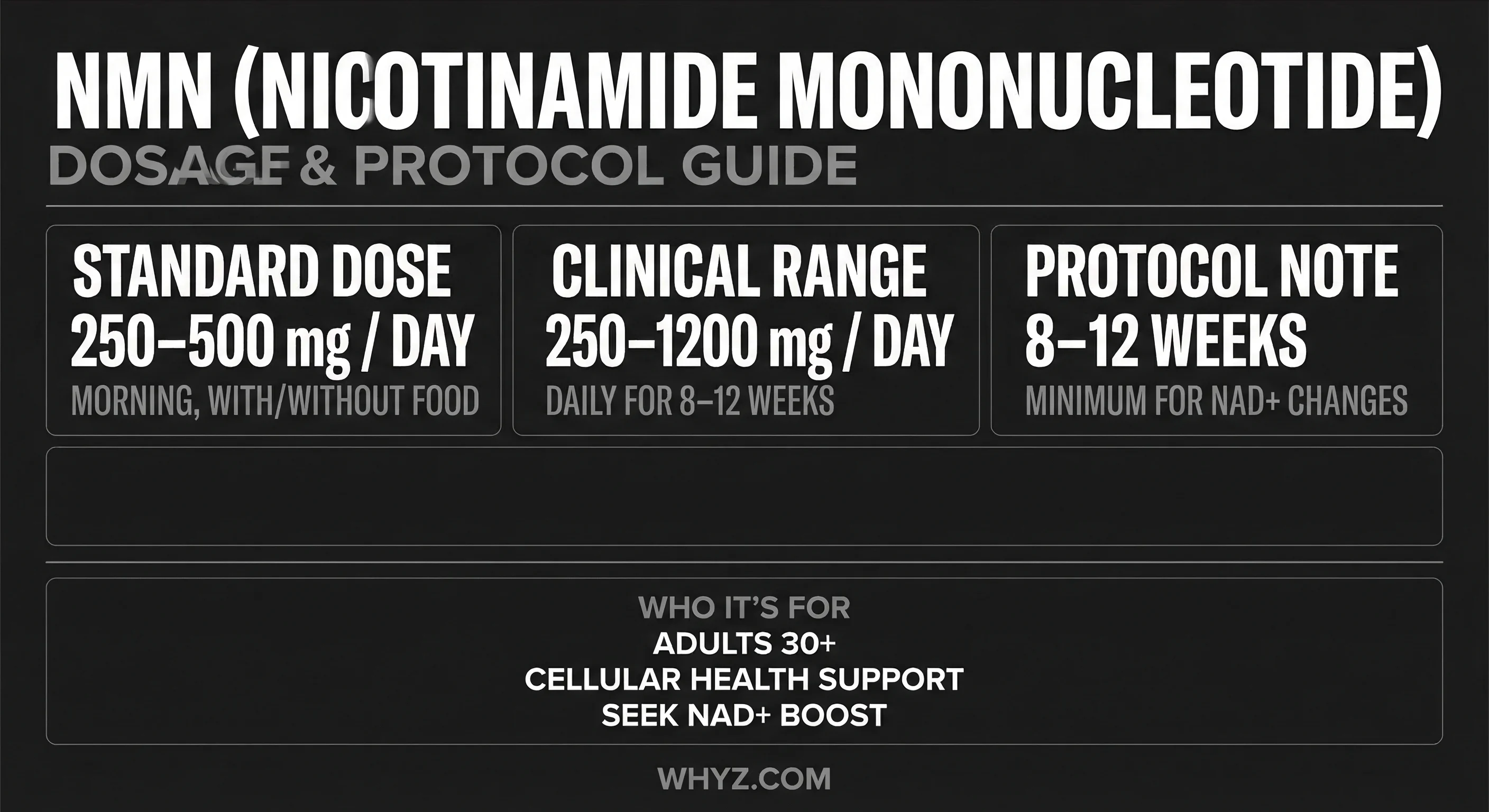 NMN dosage guide — standard dose 250-600mg, timing, how long until results
