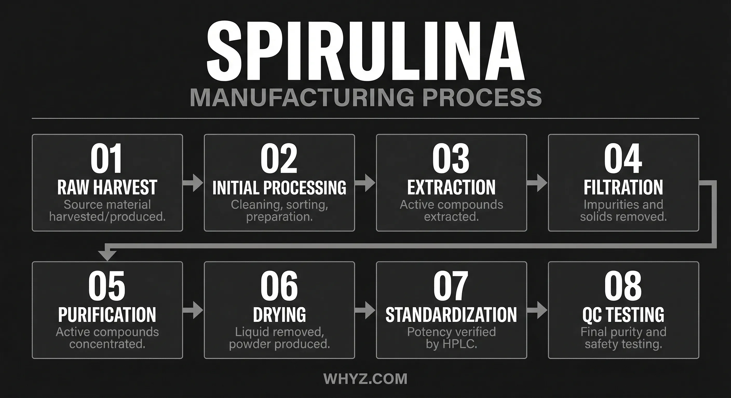 Spirulina manufacturing process — step-by-step production flowchart