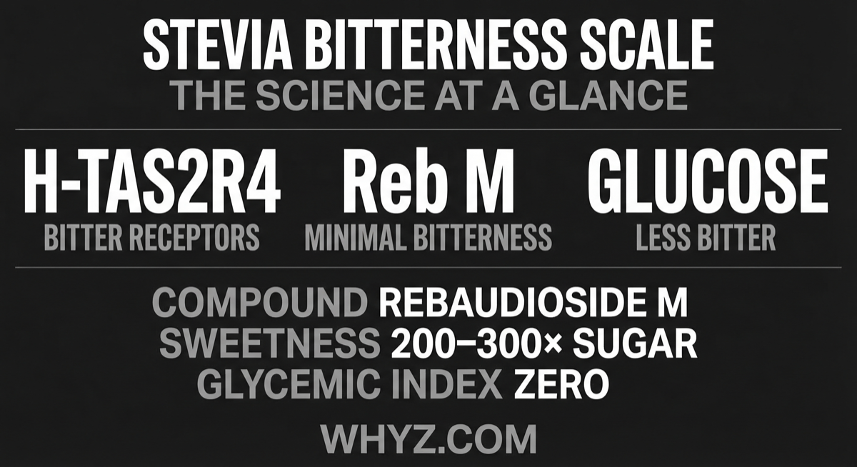 Infographic showing stevia glycoside types and their bitterness levels: stevioside (most bitter), rebaudioside A (moderate), rebaudioside D (low), rebaudioside M (minimal)